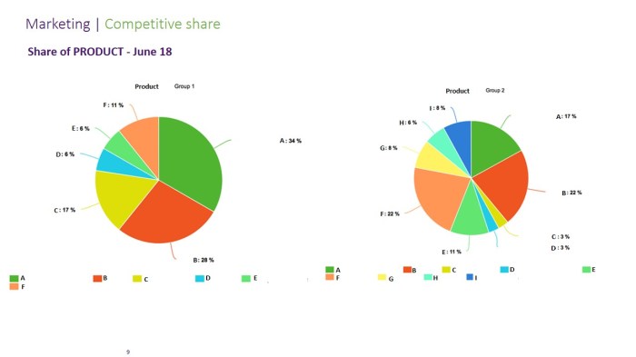 MS Excel Pie Chart Competitive Share Market coloured by Account or Product type